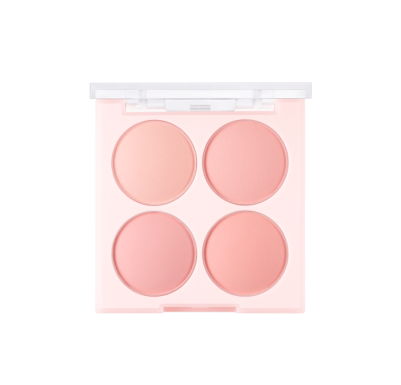 DASIQUE Blending Mood Cheek (16.8g) | Ecoplace